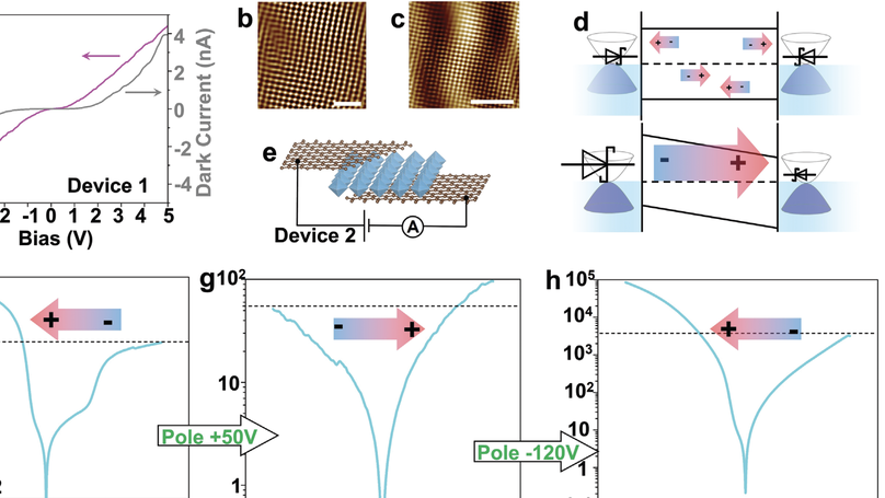 Searching for Circular Photo Galvanic Effect in Oxyhalide Perovskite Bi4NbO8Cl