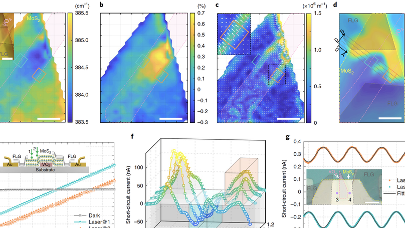 Flexo-photovoltaic effect in MoS2